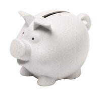 Poggi Sparschwein