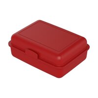 Vorratsdose School-Box groß mit Trennschale
