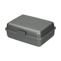 standard silber