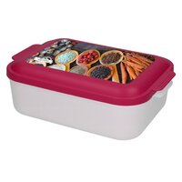 Vorratsdose Universal-Box groß