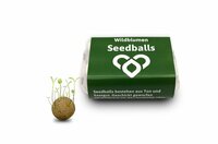 6 Seedbombs in der Eierschachtel - Bienen  Schmetterlinge