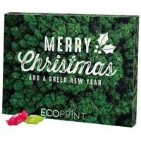 Adventskalender ECO XL