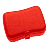KOZIOL BASIC Lunchbox - MADE IN GERMANY