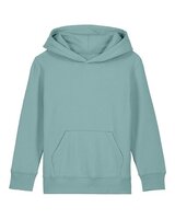 teal monstera