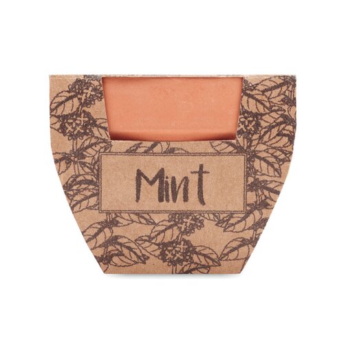 MINT POT Terrakotta-Topf Minze