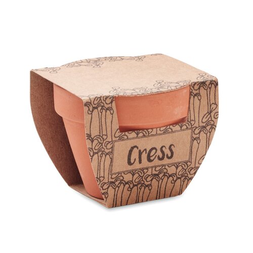CRESS POT Terrakotta-Topf Kresse