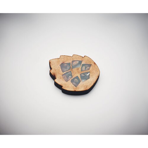 GROWTREE™ Kiefernsamen-Set