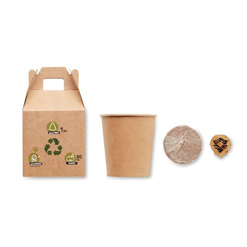 GROWTREE™ Kiefernsamen-Set