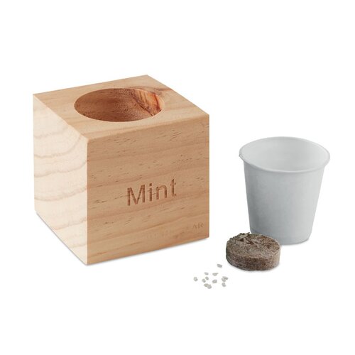 MENTA Kräuterpflanz-Set "Minze''