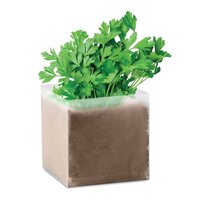 PARSELY Pflanz-Set Petersilie