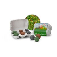 Geschenkartikel  Präsentartikel Bienenweide im Oster-Eierkarton Blumen