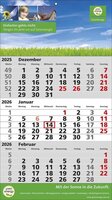 3 Monats-Wandkalender Standard 2 Plus deutsch