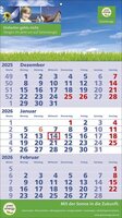 3 Monats-Wandkalender Standard 2 Plus deutsch