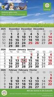 3 Monats-Wandkalender Standard 2 Plus 3-sprachig