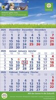 3 Monats-Wandkalender Standard 2 Plus 3-sprachig