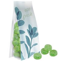 Eukalyptus Menthol Fruchtgummi ohne Gelatine ca 40g Express Blockbodenbeutel mit Werbereiter
